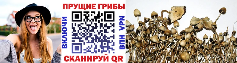 Псилоцибиновые грибы Psilocybine cubensis  продажа наркотиков  Нижняя Салда 