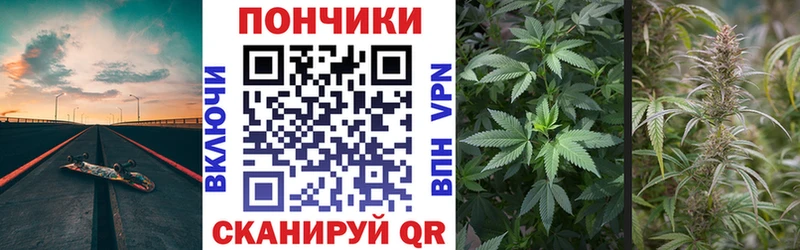 darknet состав  Нижняя Салда  Каннабис сатива 